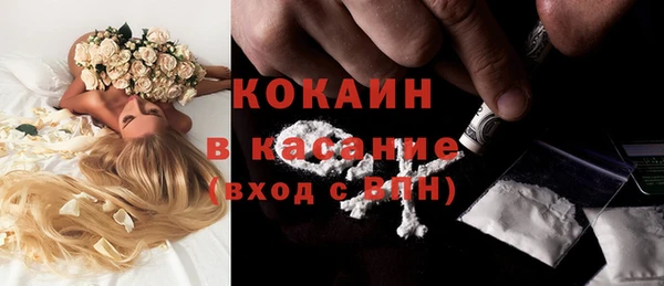 соль ск Алзамай