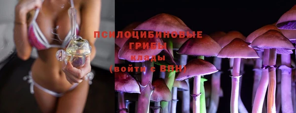 соль ск Алзамай