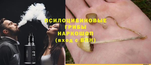 трава Алексин