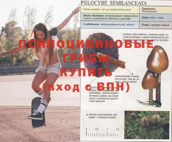 соль ск Алзамай