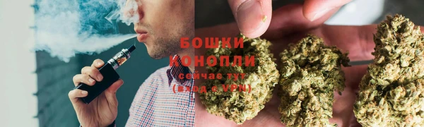 трава Алексин
